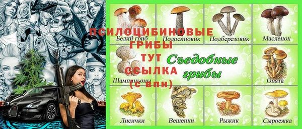 тгк Волоколамск