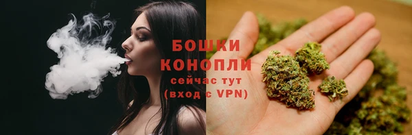 хмурый Волосово