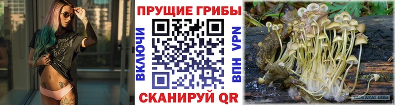 Галлюциногенные грибы ЛСД  Екатеринбург 