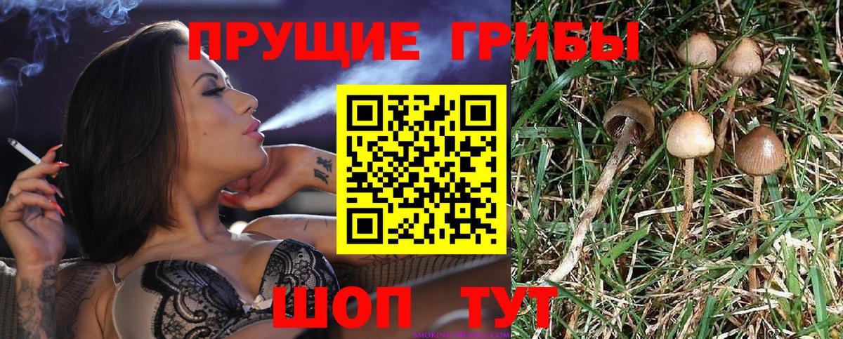 Галлюциногенные грибы мицелий Екатеринбург