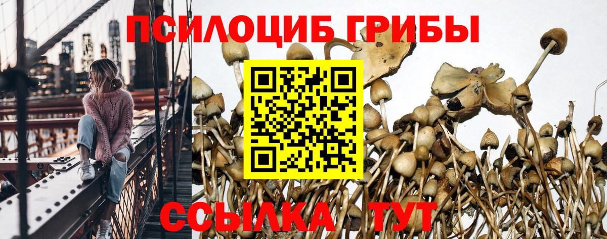 Псилоцибиновые грибы Cubensis Екатеринбург