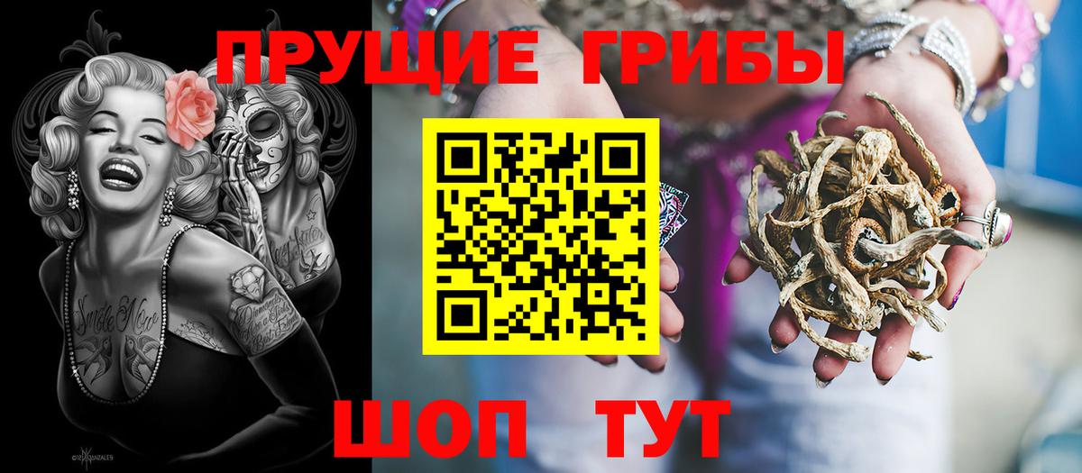 Екатеринбург  Псилоцибиновые грибы Psilocybine cubensis  Галлюциногенные грибы GOLDEN TEACHER  Вход с VPN 