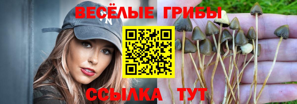 Псилоцибиновые грибы MAGIC MUSHROOMS  Псилоцибиновые грибы Magic Shrooms  Екатеринбург 